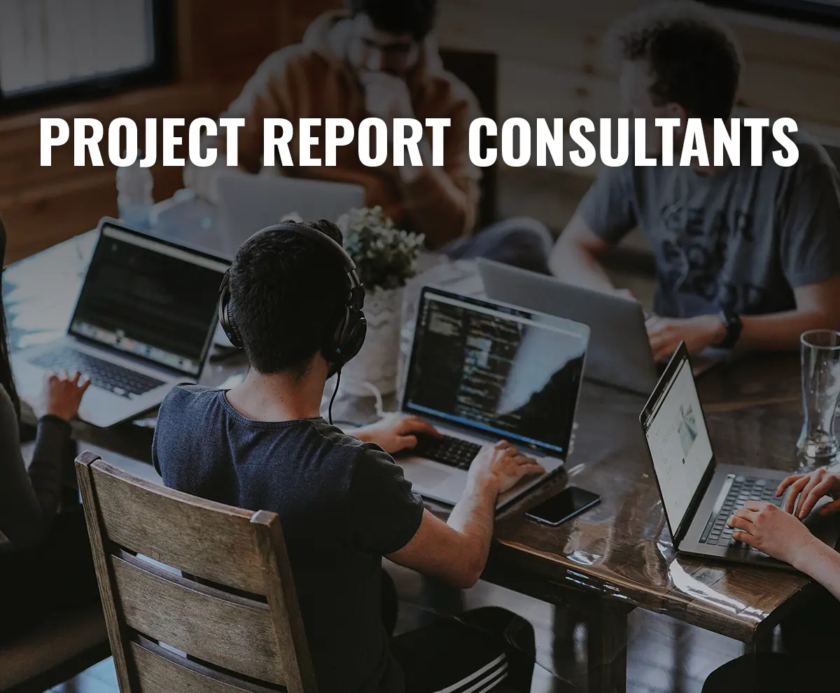Project Report Consultants