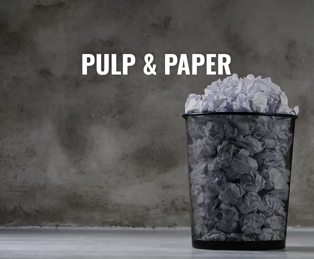 Pulp and Paper