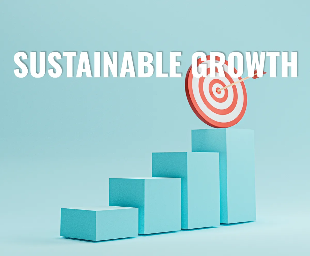 Sustainable Growth