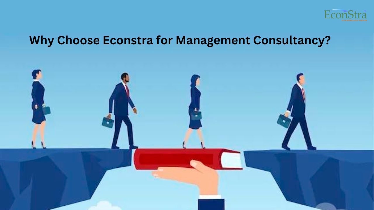 Why Choose Econstra for Management Consultancy