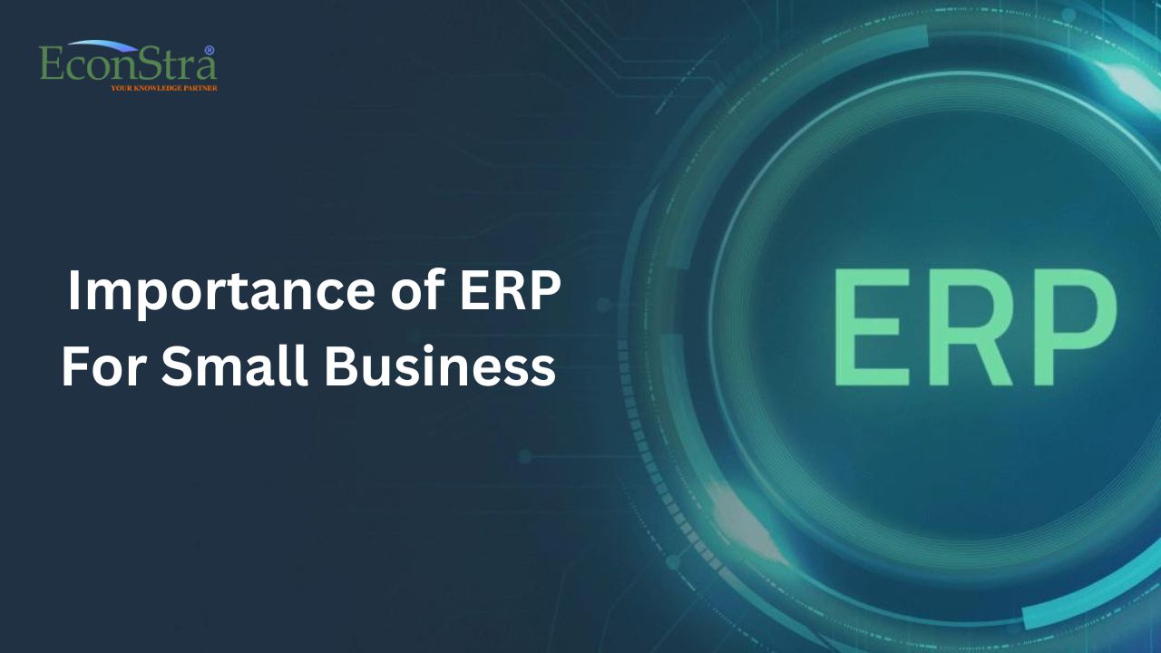 Importance of ERP For Small Business