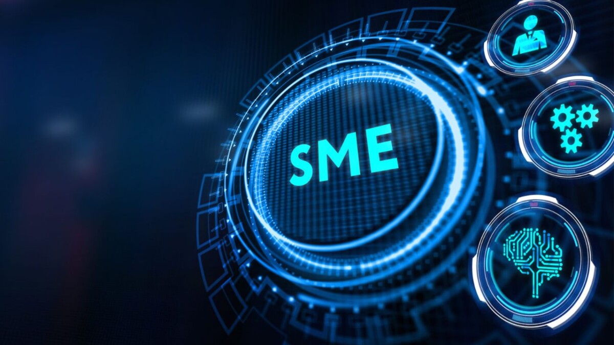 How Business Consultancy Services Add Value for SMEs in 2024